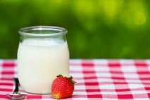 Jogurty obsahují aktivní složku – probiotické bakterie. Ty napomáhají trávení a lepšímu zdravotnímu stavu.
